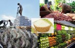 Bộ Công Thương chỉ thị ”Tăng cường quản lý xuất khẩu, nhập khẩu một số mặt hàng chiến lược”